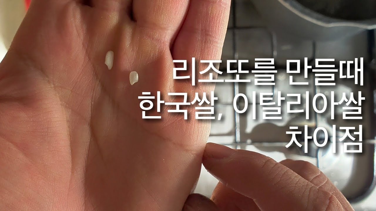 번외편. 한국쌀과 이탈리아쌀로  만든 리조또 비교