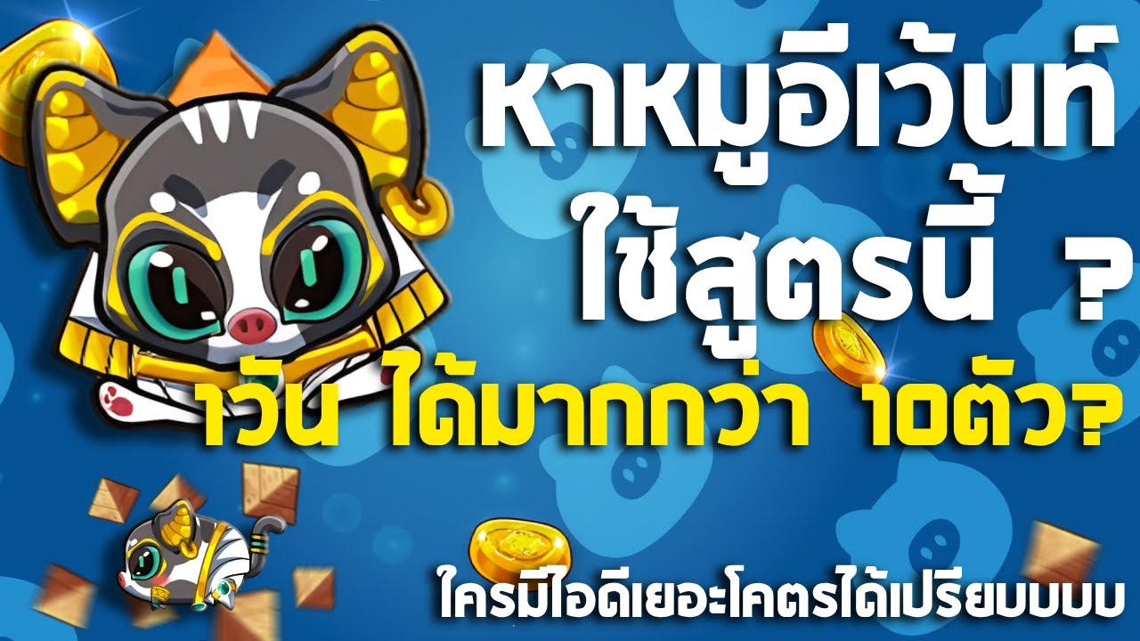 หาง่ายขนาดนี้ ทำฟาร์มสฟิงซ์กันเถอะ!!! | Happy Hog แฮปปี้คนเลี้ยงหมู