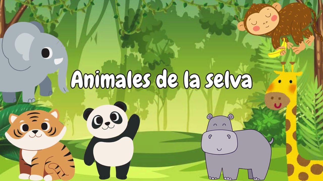 Animales de la selva para niños | Aventura y aprendizaje. 🐒🐼