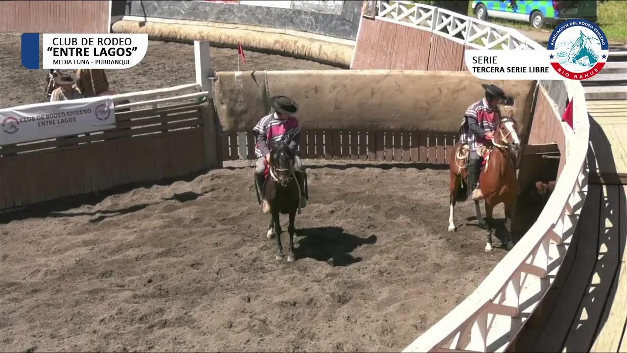 Rodeo en Medialuna Purranque - 01 febrero 2026