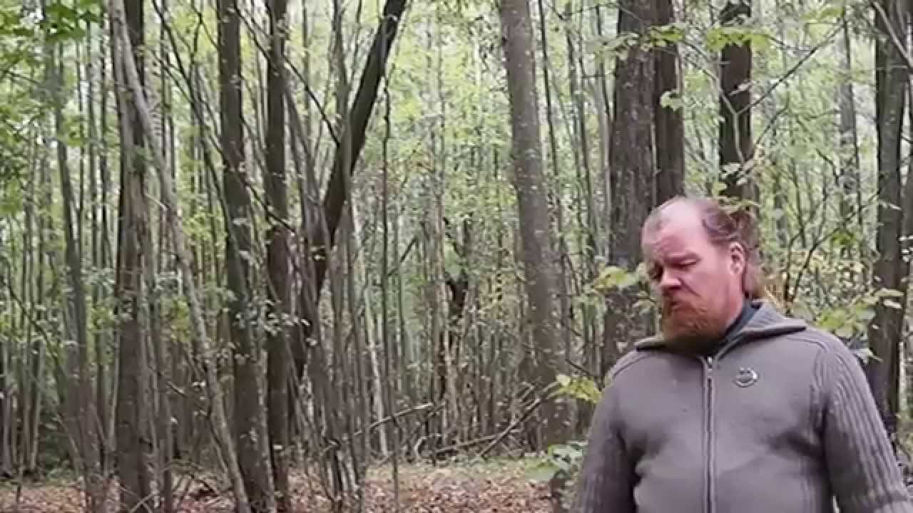 Striūnos upė. 14 (Lėkįs lėkįs sakalėlis)
