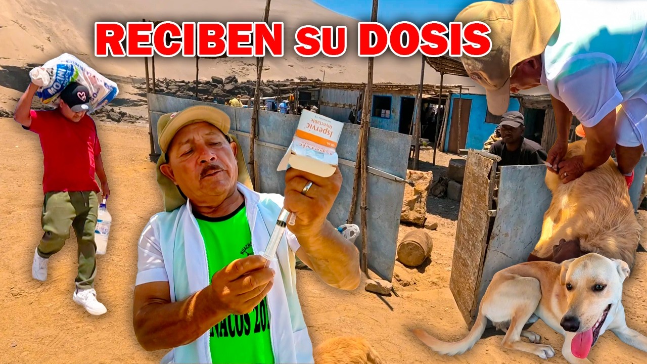 HASTA EL FINAL POR ELLOS 🐶 | Visitamos al Tío Adrián