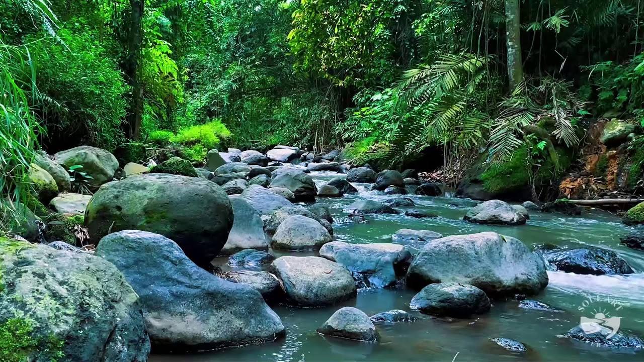 River Sounds & waterfall Sounds for Sleeping | Nature Stream for Relaxing & Stress Relief. #river 1
