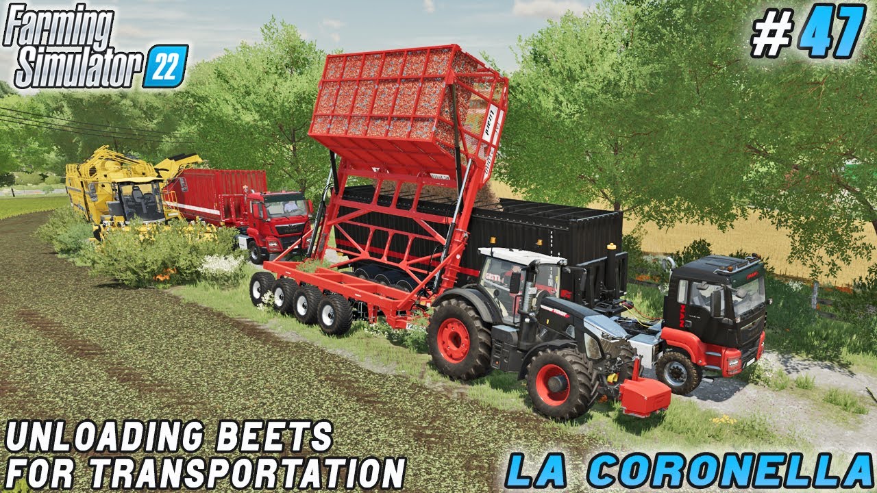 Sunflower Harvest Conclusion, Sugar Beet Harvest Commencement | La Coronella Farm | FS 22 | ep #47