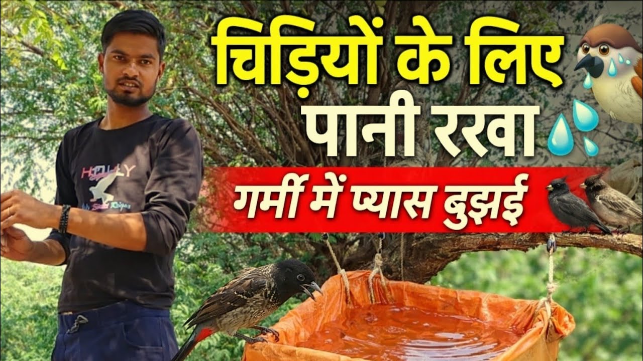 बेचारी चिड़िया प्यास से परेशान थी | मैंने पानी रख दिया 🐦💧क्यों अच्छा है:🤗