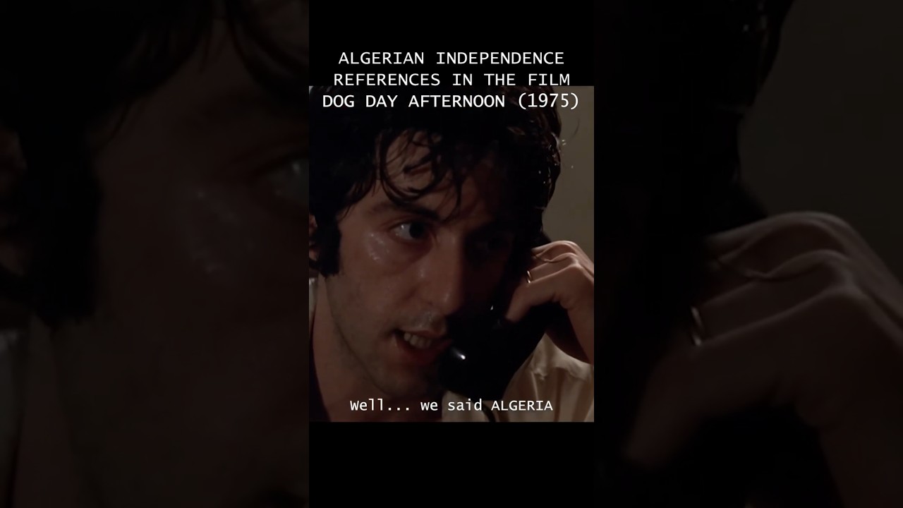 DOG DAY AFTERNOON (1975) ALGERIAN INDEPENDENCE SYMBOLISM #cinephile #alpacino #filmanalysis