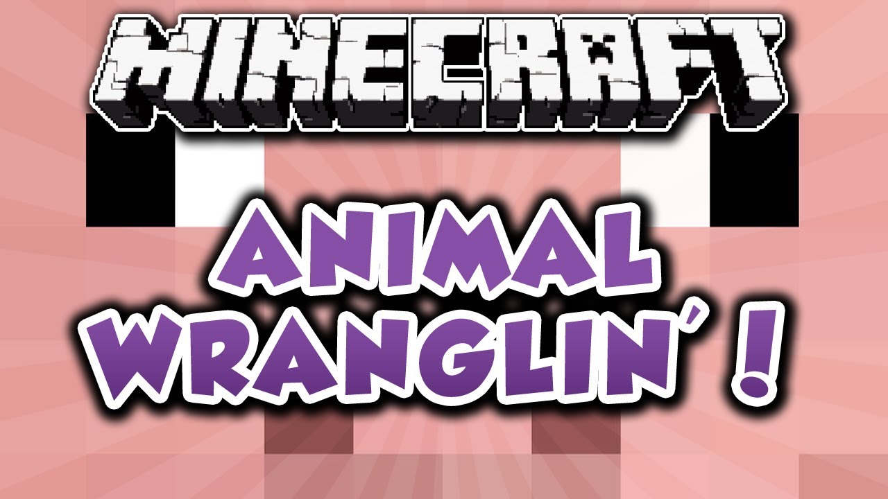 HermitCraft! {EP.28} - Animal Wranglin!