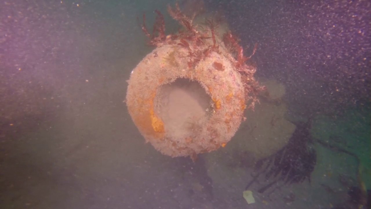 Diving HMS Drake (Rathlin Island, Co. Antrim, Northern Ireland) 5/2/2017