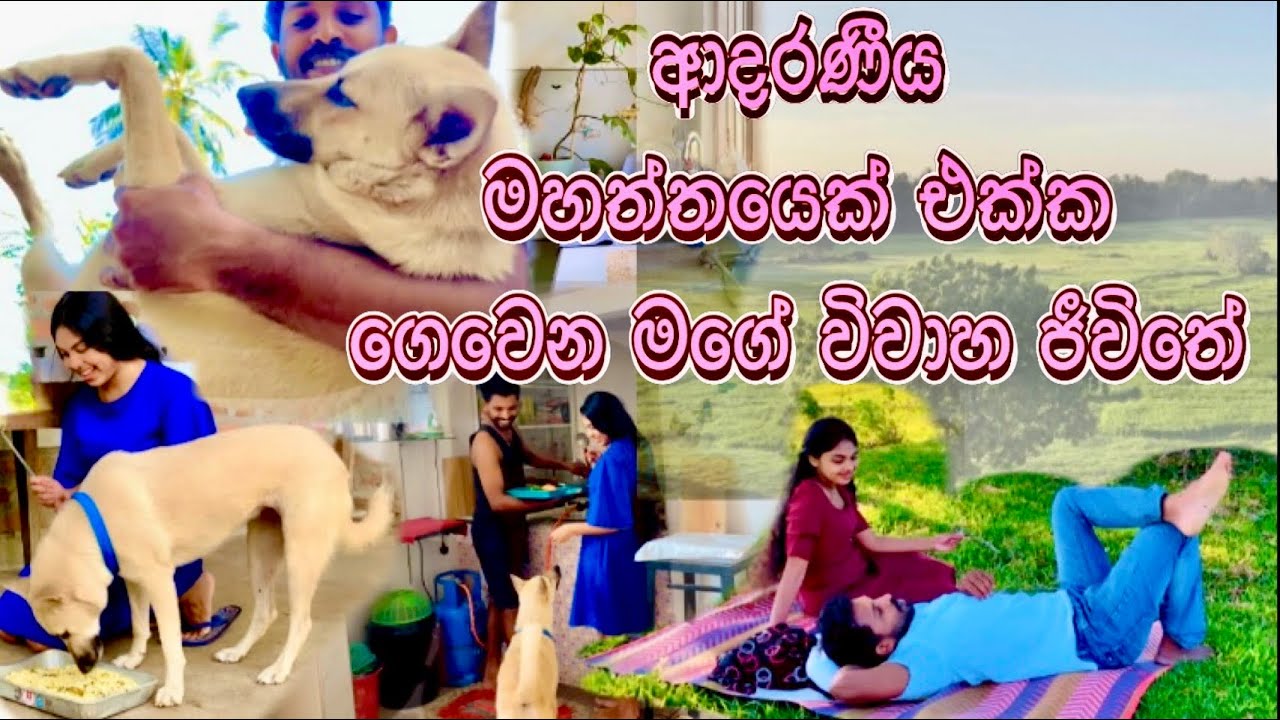 🍃මේ අපි තුන්දෙනාගේ ආදර කතාවයි🐶❤️ජීවිතේ ලස්සනම දවස් #viralvideo