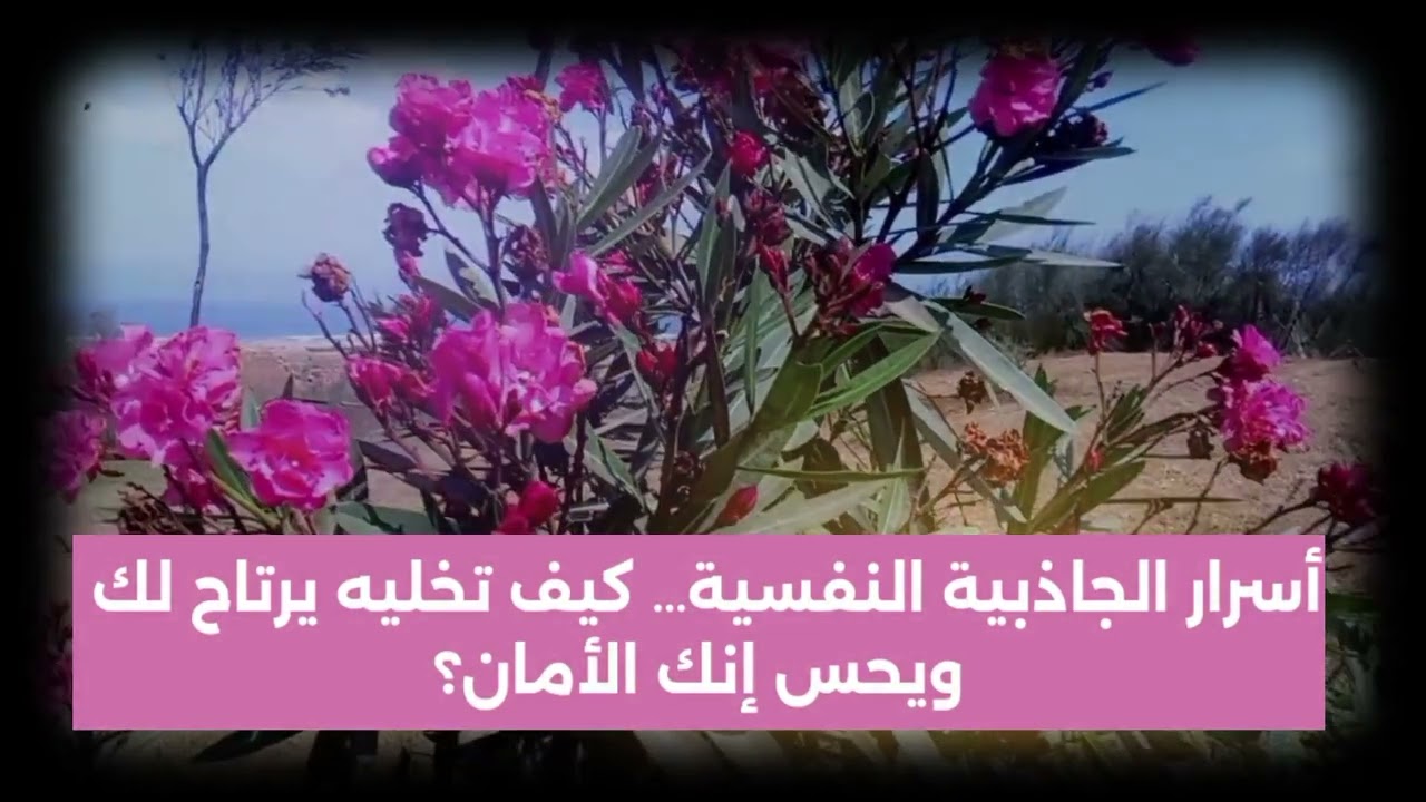 أسرار الجاذبية النفسية… كيف تخليه يرتاح لك ويحس إنك الأمان