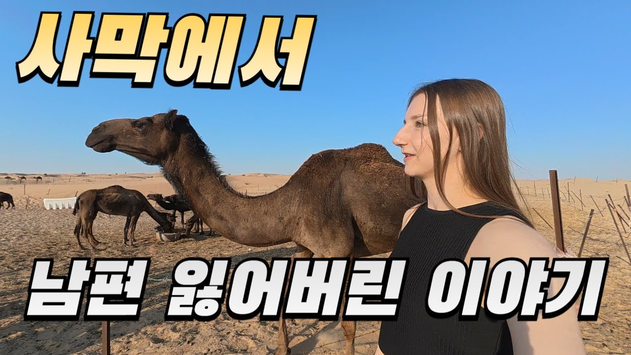 [국제커플] 아부다비 사막 한 가운데서 혼자 버려진다면?? (feat. 루브르 박물관, 사막 사파리 투어)