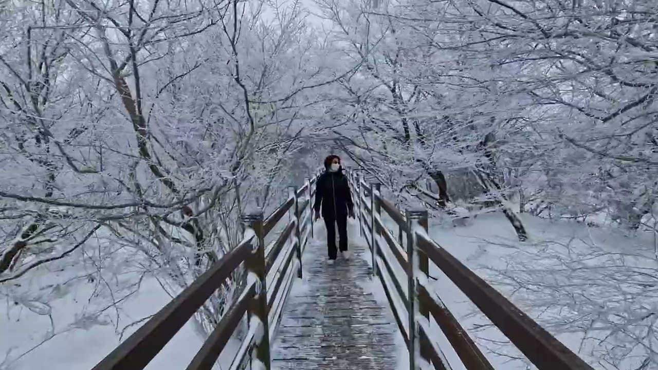 제주 한라산 국립공원 