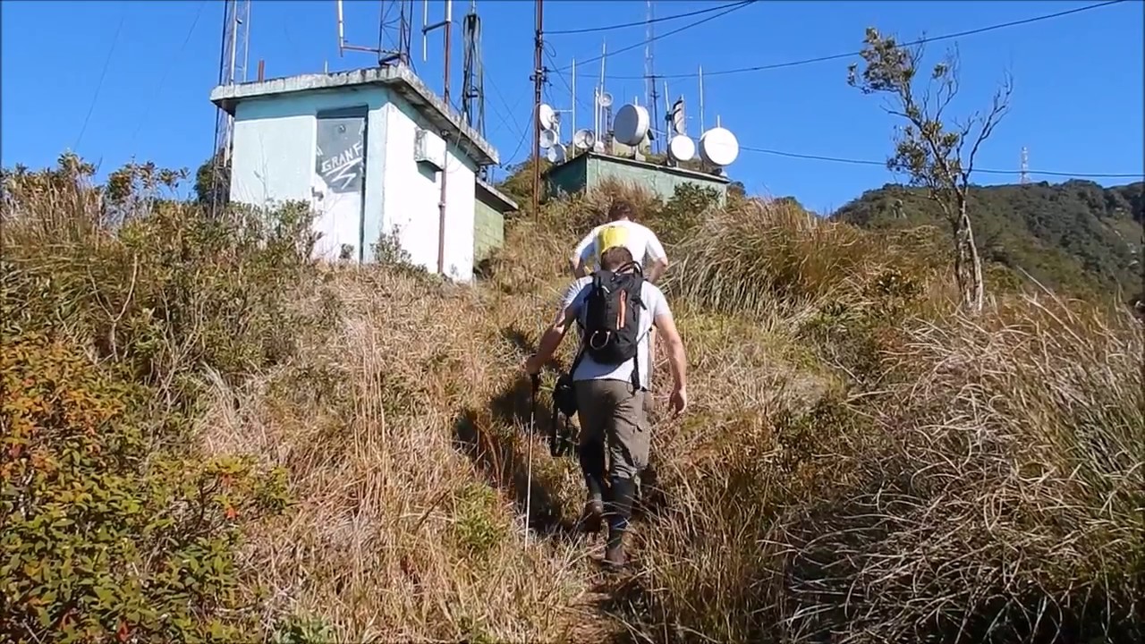 Crista do Caledônia - Nova Friburgo