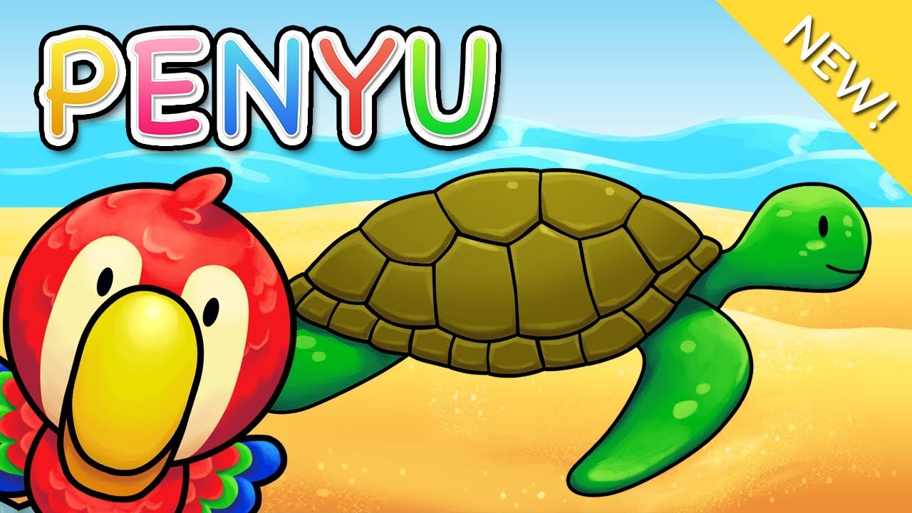 Lagu Anak Indonesia | Penyu