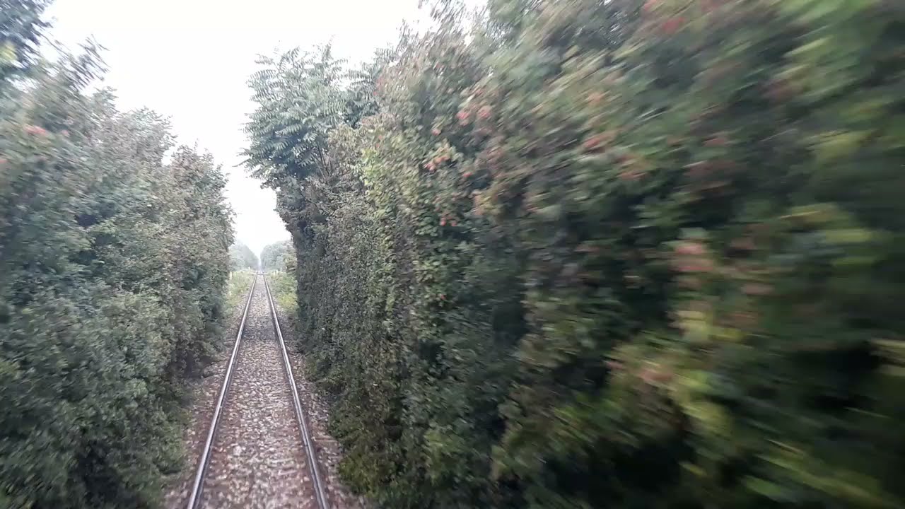 2021-(06)-(26) Bucuresti Nord Faurei Fetesti Bucuresti Nord 105DUPA MOARA VLASIEI PANA DUPA GRECI