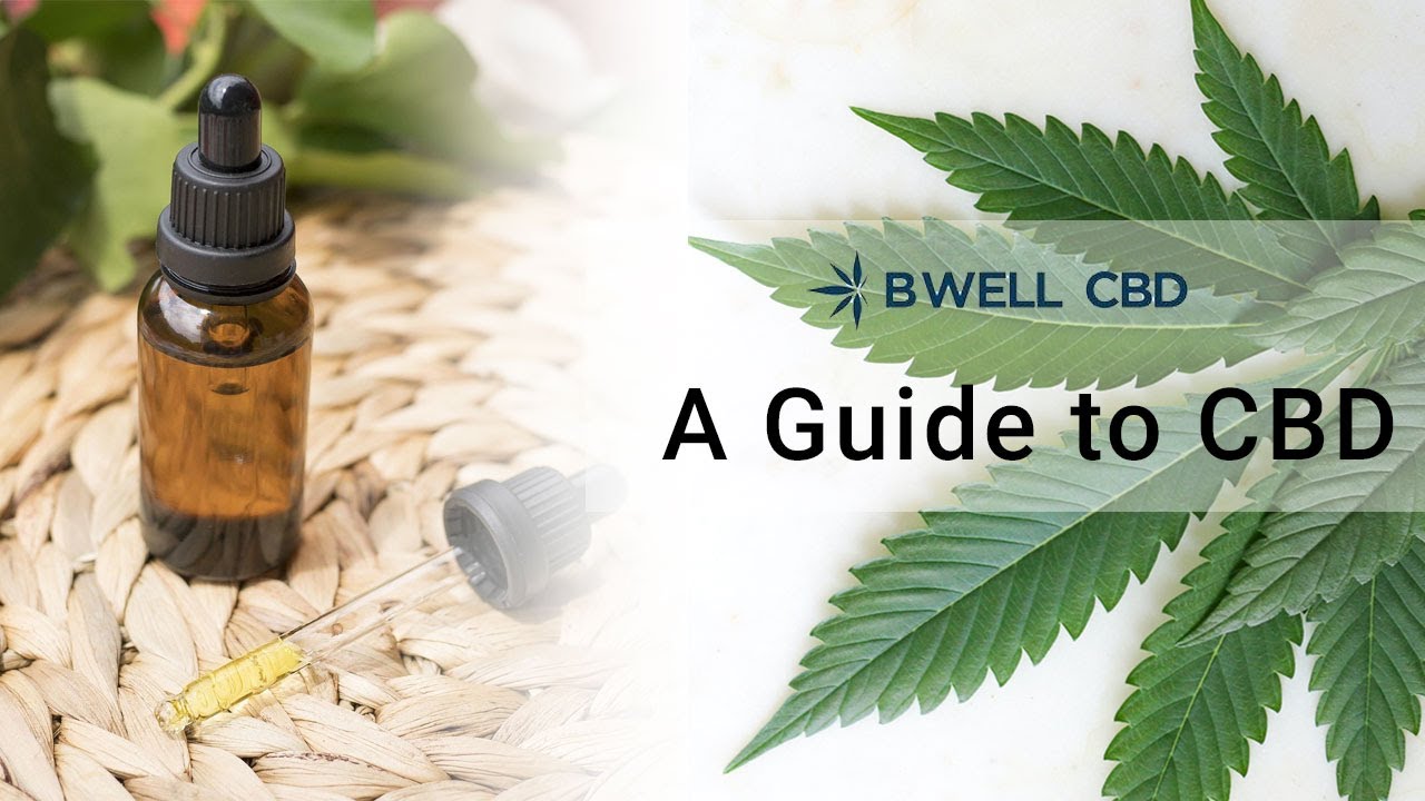 A Guide to CBD