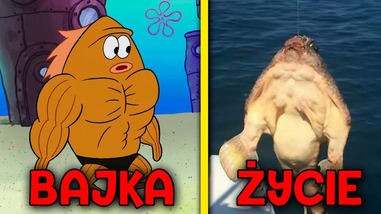 Postacie z Spongeboba KanciastoPortego w PRAWDZIWYM ŻYCIU