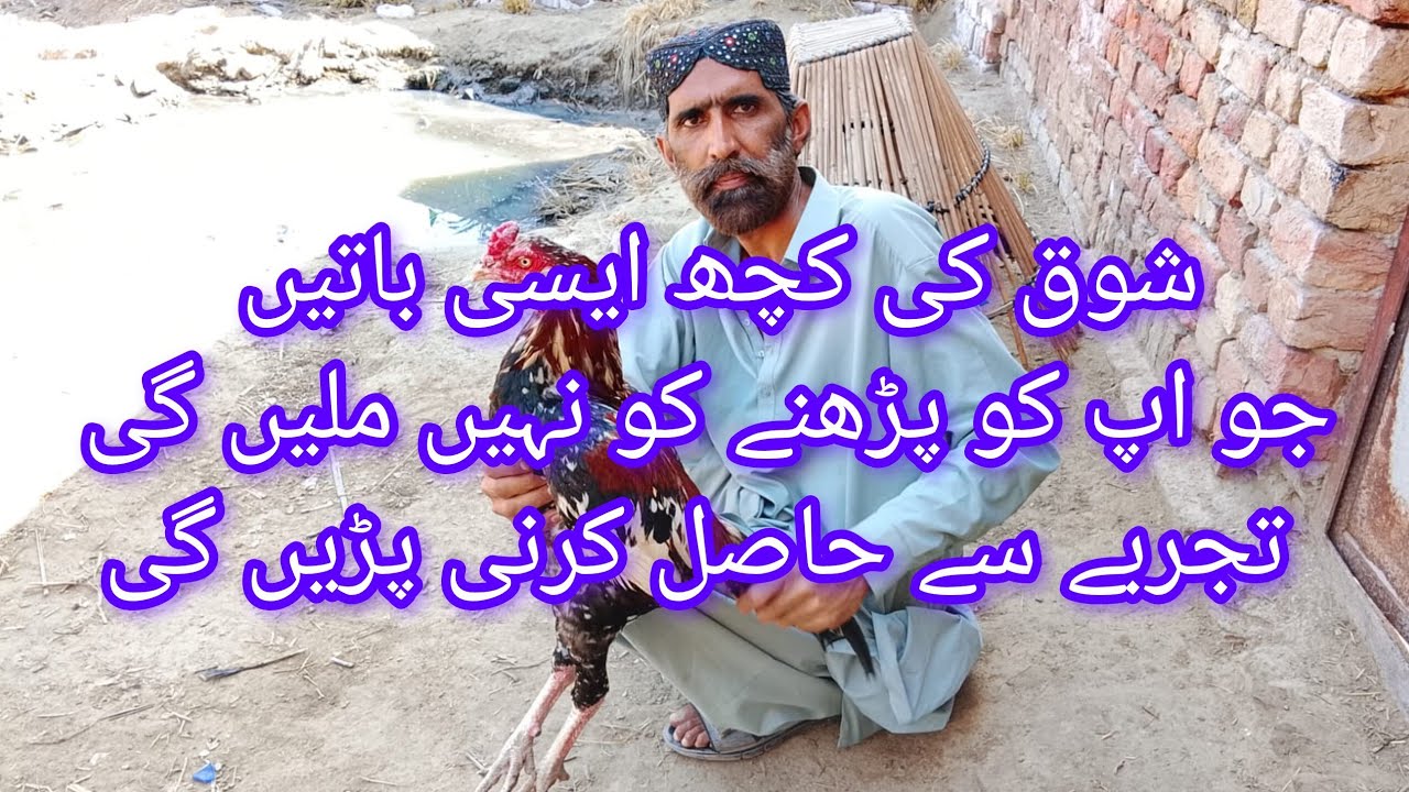 Shoq ki kuchh aisi baten Jo padhne ko Nahin milenge