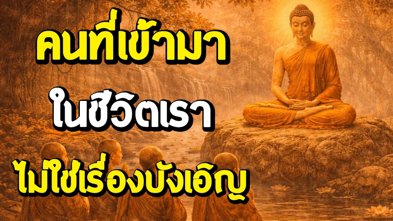 คนที่เข้ามาในชีวิตเรา ไม่ใช่เรื่องบังเอิญ | ฟังธรรมผ่อนคลาย | Ep.65