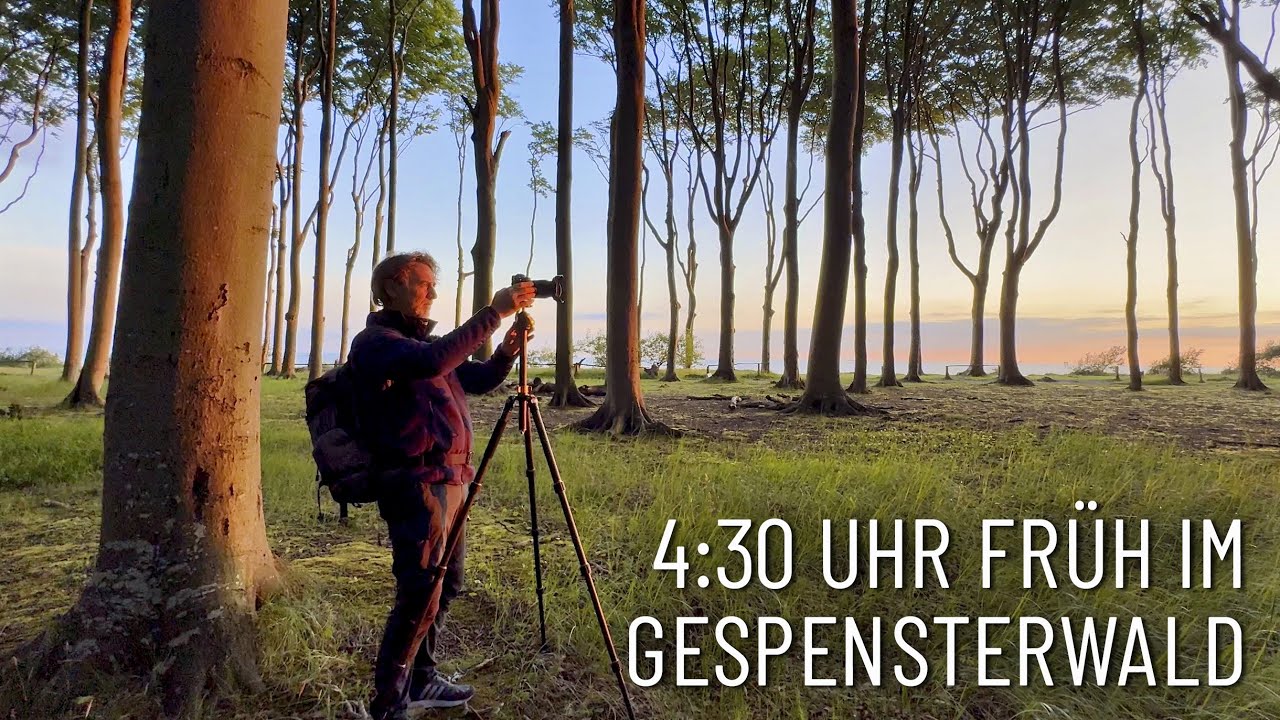 4:30 Uhr fr&uuml;h im Gespensterwald ✱ Sonnenaufgang in Nienhagen
