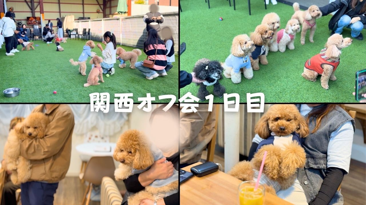 【関西旅行編♯4】オフ会１日目の午前からはしゃぎ過ぎて、午後には燃料切れになる主役たち