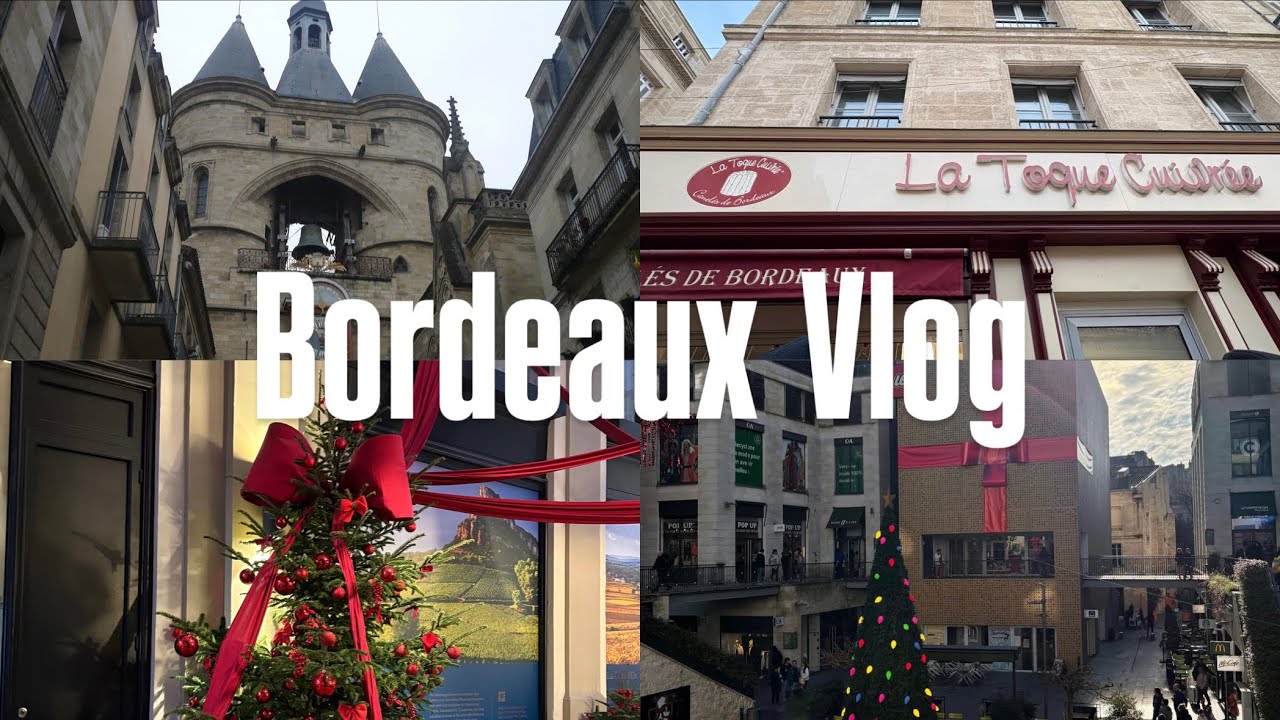 🇫🇷Vlog | フランス人のお友達とボルドーに行ってきたよᕷ˖٭