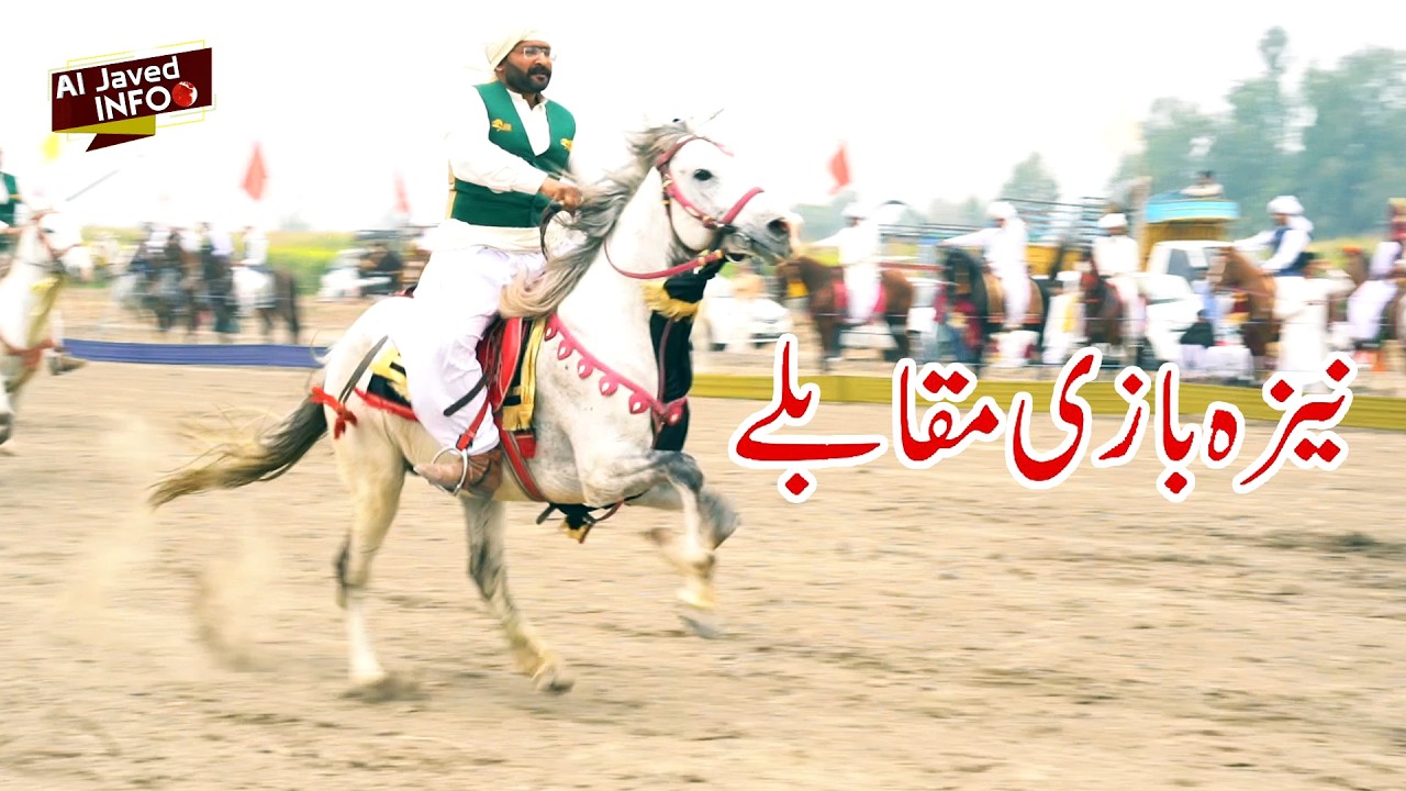Neza Bazi Competitions in Basti Joya Layyah  گھوڑا سوار نے کمال کردیا