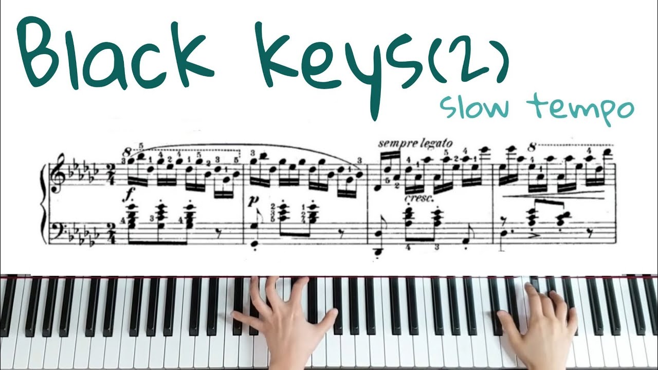 쇼팽 '흑건' 양손느리게(2) 악보배우기/Chopin etude Op.10 No.5 'Black keys' tutorial