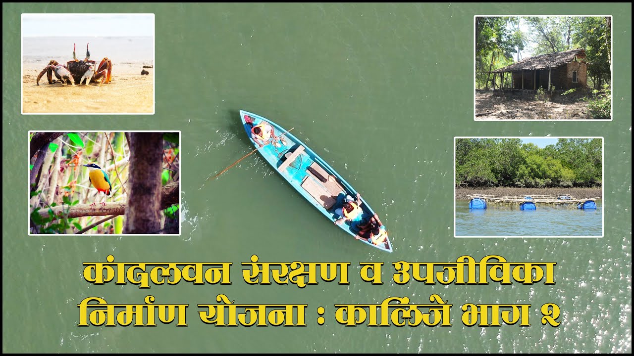 SHRIVARDHAN - Mangrove Conservation Project at KALINJE - Part 2 | कांदळवन प्रकल्प कळींजे,श्रीवर्धन