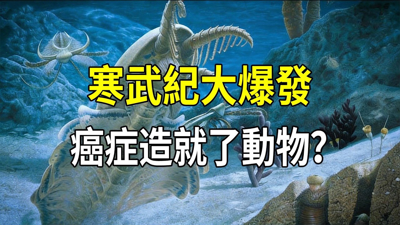 寒武紀生命大爆發，竟然起源于一場癌症危機？#寒武紀大爆發 #癌症演化 #科普 #生物演化