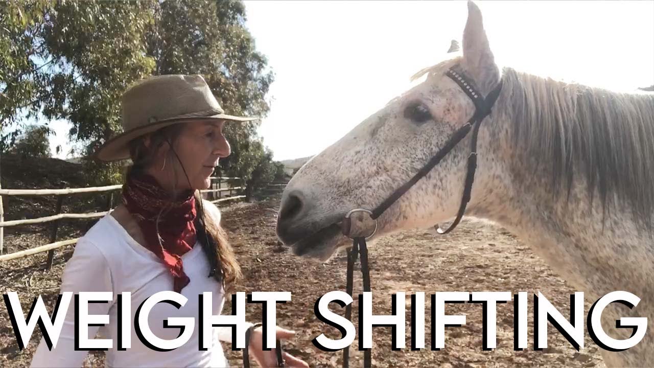 What is Weight Shifting // how to be a better rider
