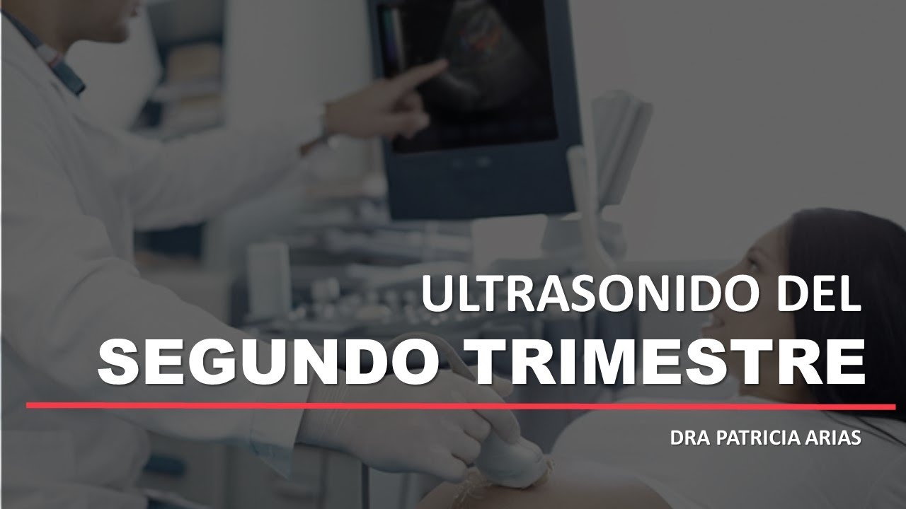 SEGUNDO TRIMESTRE - Parte 1