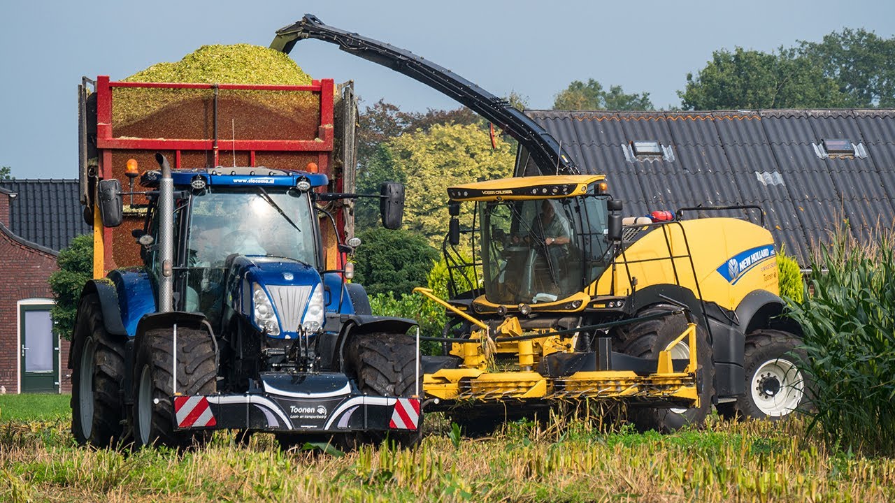 Mais Silage 2021 met 10 rij New Holland FR650 door loonbedrijf Toonen