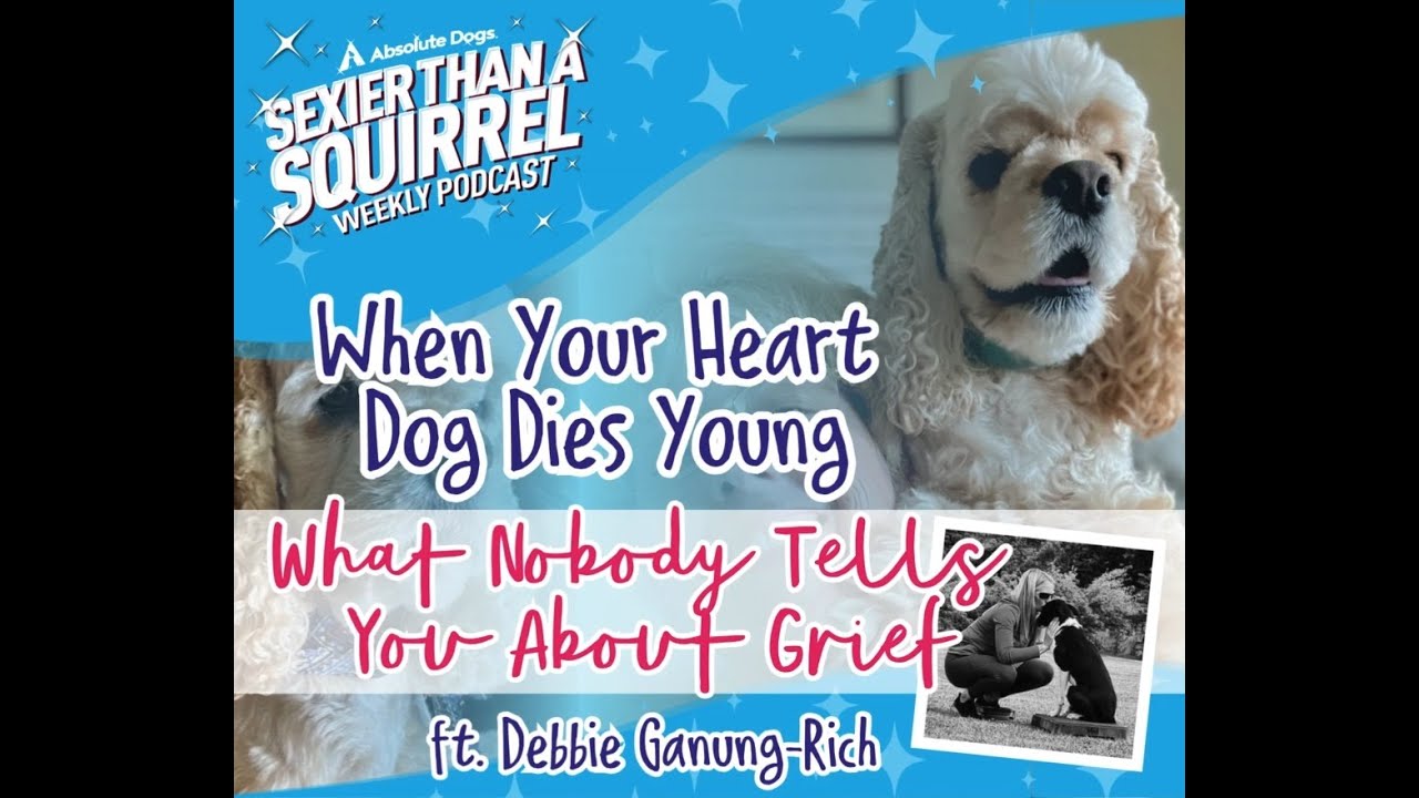 When Your Heart Dog Dies Young: What Nobody Tells You About Grief