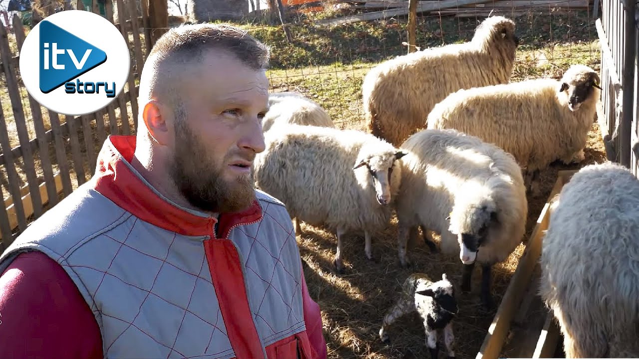 Završio ekonomsku školu, sada se uspješno bavi ovčarstvom!