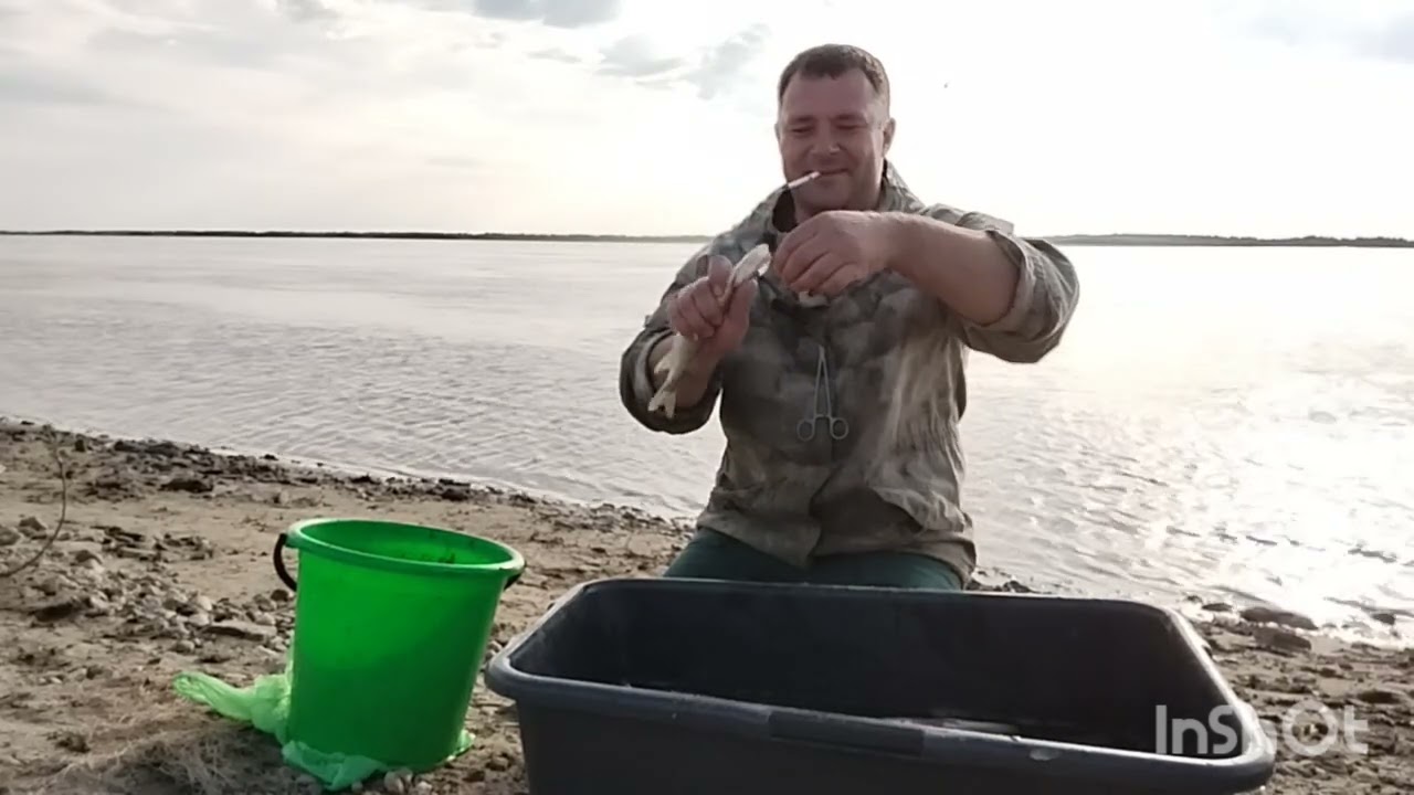 Жесть! Обь кипит от щуки!