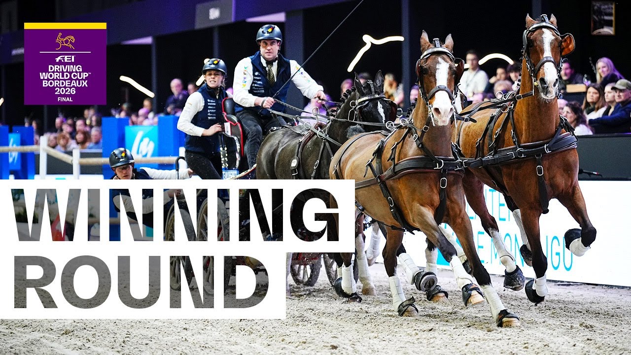Dries Degrieck is a World Cup CHAMPION! 👑 | FEI Driving World Cup™ Final 2025/26