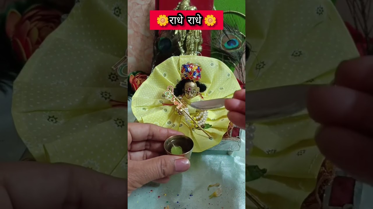 इतने प्रेम से लड्डू गोपाल जी को जल पिलाया 🙏 Radhe Radhe Naam Jap #Shorts#mevasaini