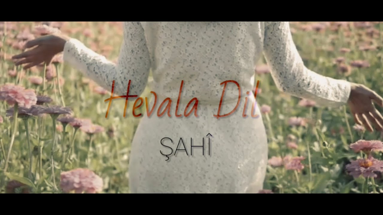 ŞAH&Icirc; - Hevala Dil (2021) [New Official Video]  شاهي - هفالا دل (ورابامن هفالا دل)