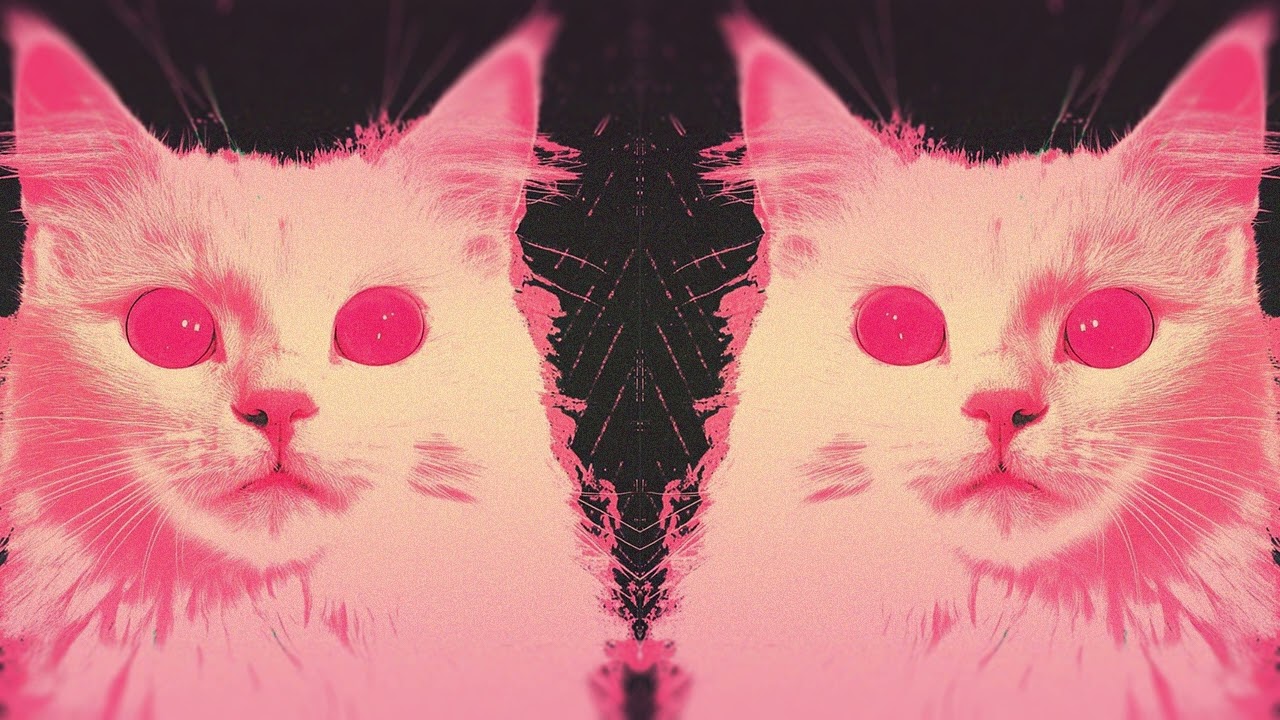 Nightpulsee - CATTYA