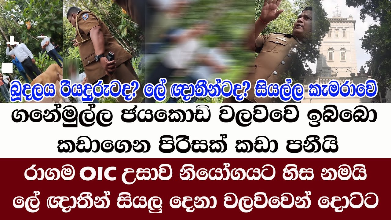 ගනේමුල්ල ජයකොඩි වලවිවෙි ඉබිබො කඩාගෙන පිරිසක්  කඩාපනීයි/රාගම OIC  කරපු දේ කැමරාවෙි/@ADARATANEWS