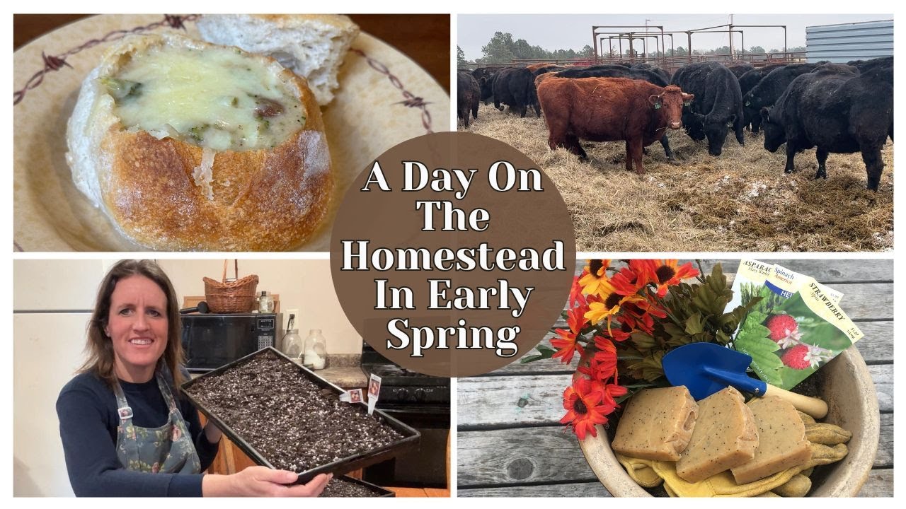 Early Spring Day In The Life || Sourdough Baking, Soap Making & More