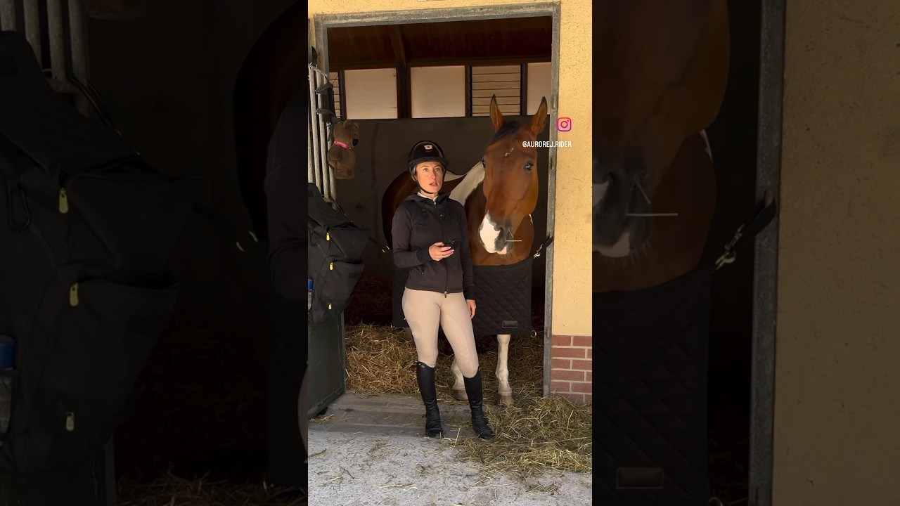 TOUS les cavaliers ont d&eacute;j&agrave; v&eacute;cu &ccedil;a 🤣 #horse #chevaux #cheval #equitation #equestrian #poney