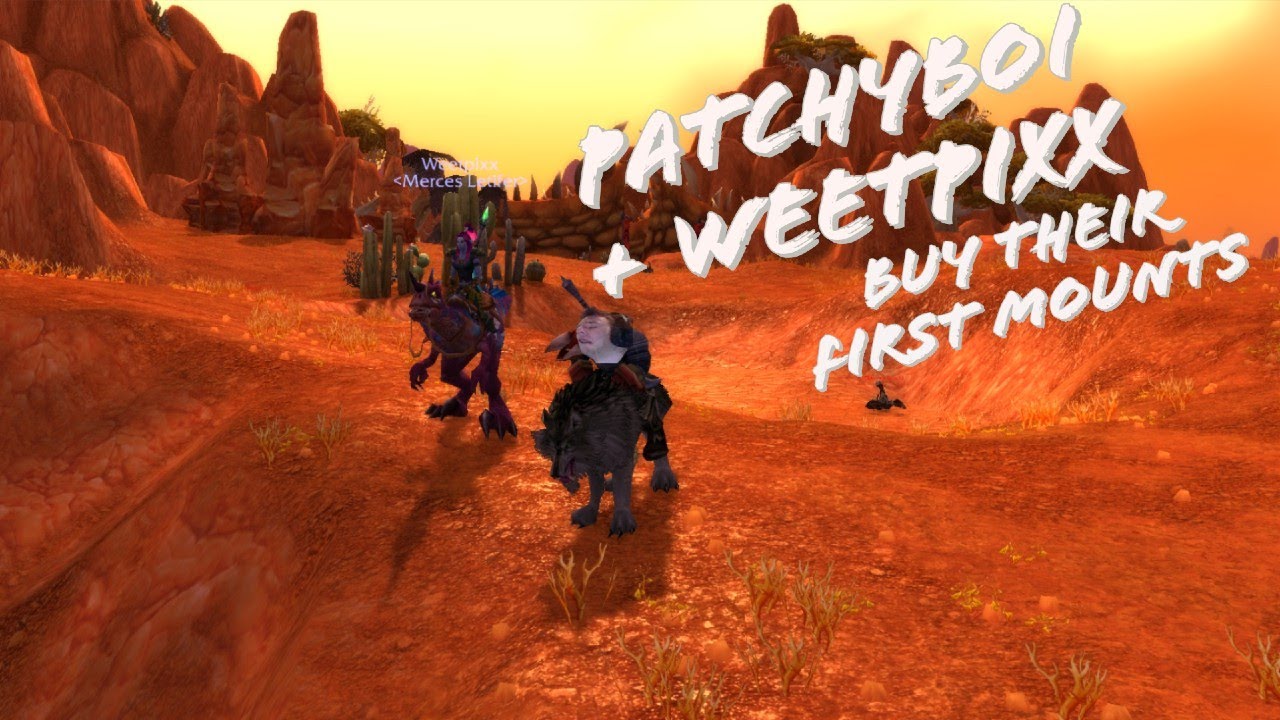 Patchyboi And Weetpixx Buy Their First Mounts in Classic WoW
