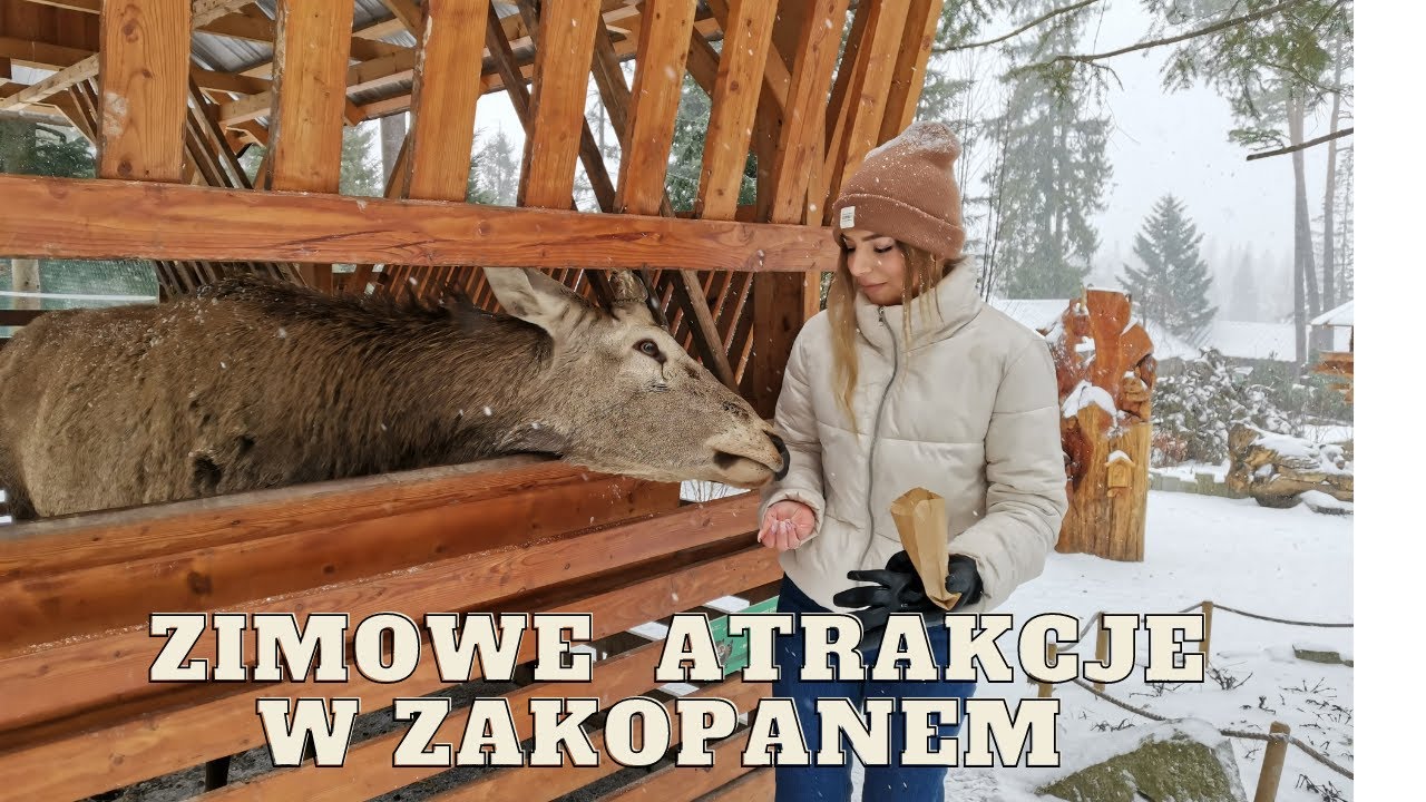 ZAKOPANE ZIMĄ - jakie atrakcje zobaczyć?