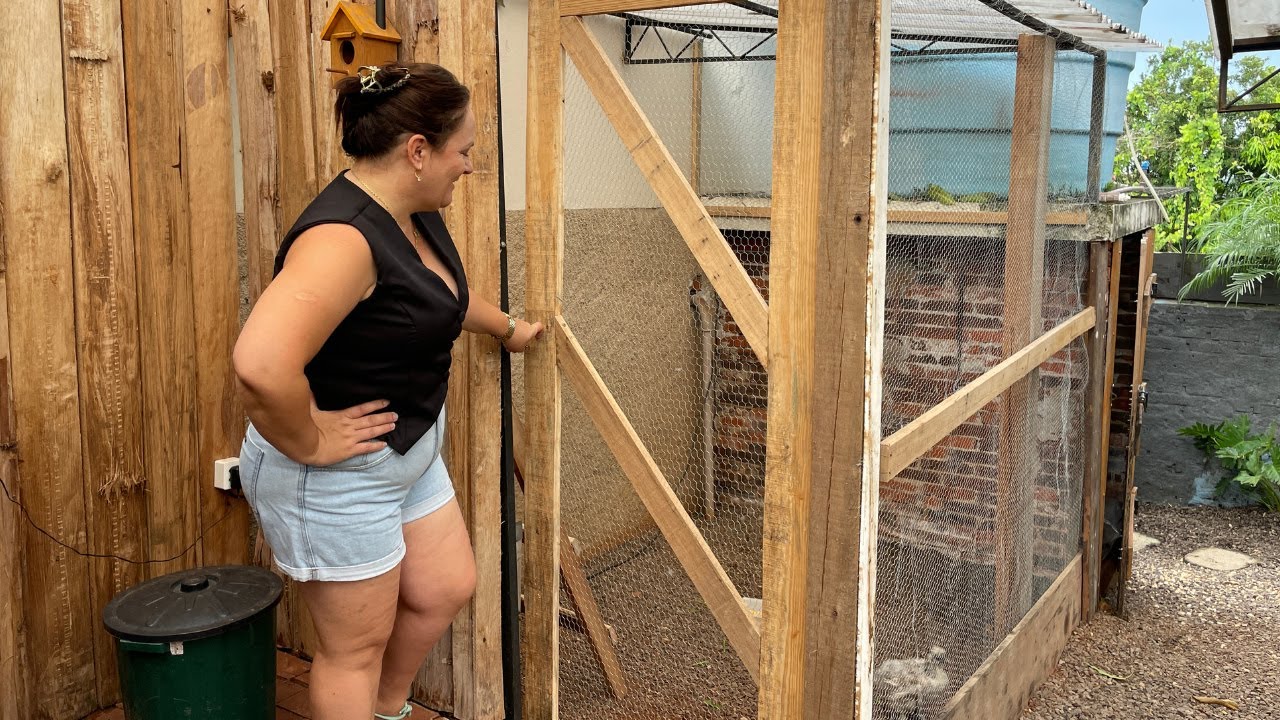 Mudanças no quintal e galinheiro novo! 🐓