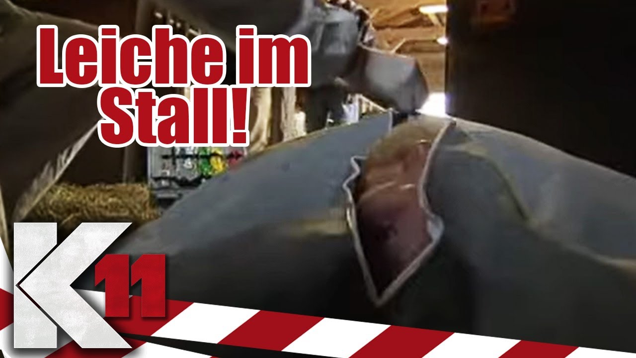 Hinterhältiger Mord im Pferdestall: Opfer eingesperrt und zertrampelt! | K11 - Ganze Folge | Sat.1