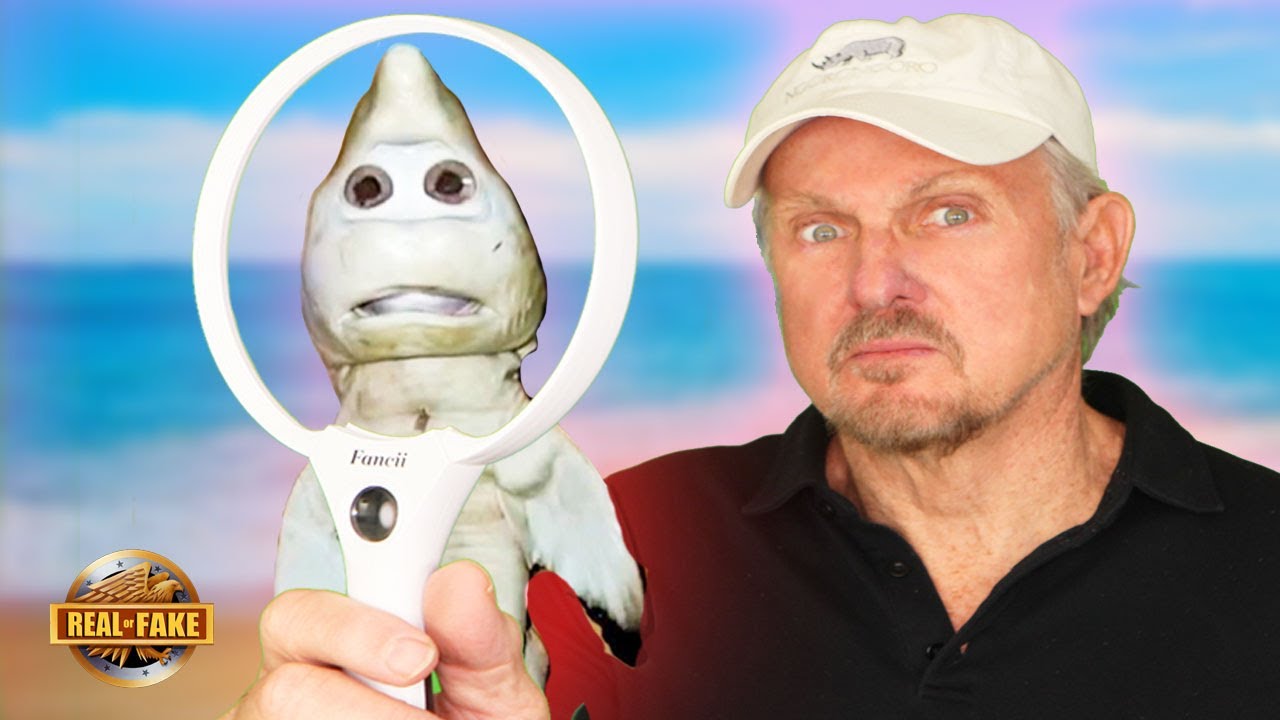 SHARK WITH HUMAN FACE FOUND - real or fake?