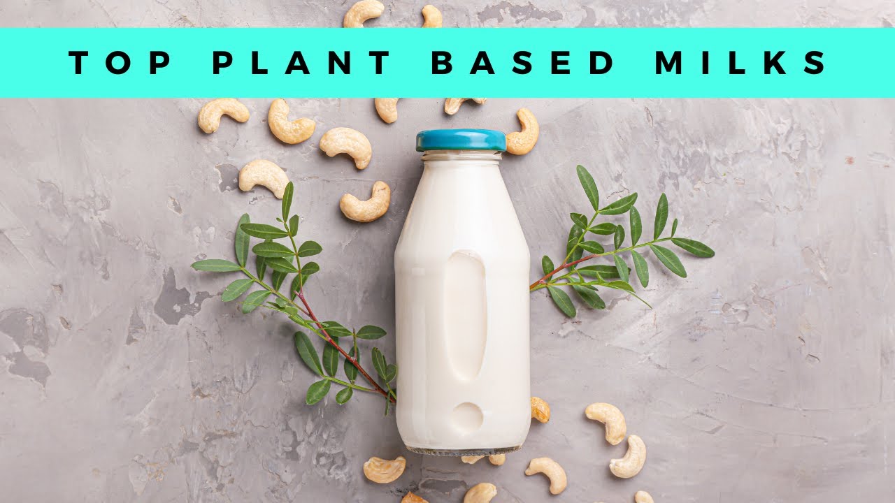 5 Easy PLANT BASED MILKS You Can Make Right At Home!
