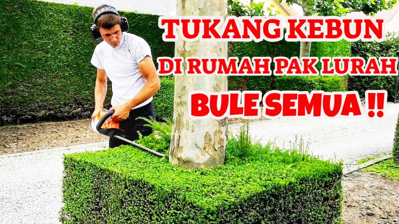Berapa sih gaji TUKANG KEBUN di rumah Pak Lurah?